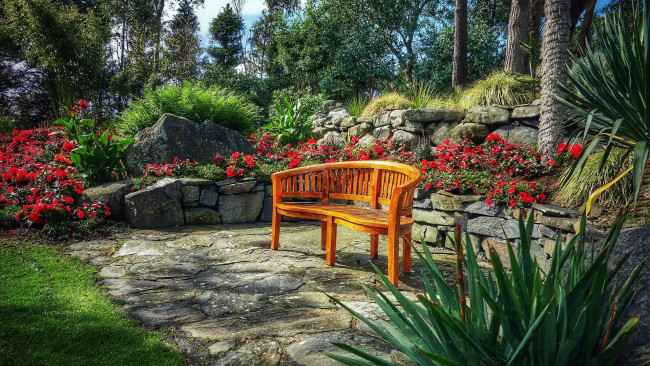 Обои картинки фото природа, парк, клумбы, скамейка