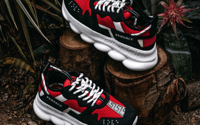 Обои картинки фото бренды, versace, sneakers, shoes