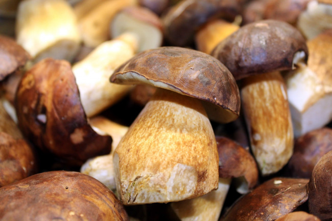 Обои картинки фото еда, грибы,  грибные блюда, боровики