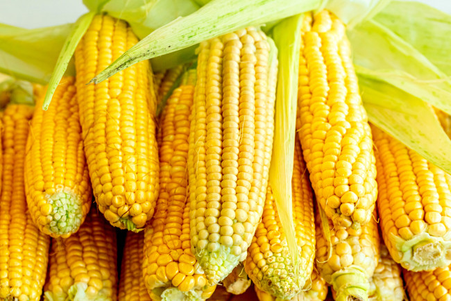 Обои картинки фото еда, кукуруза, снедь