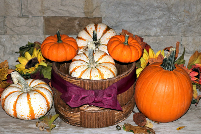 Обои картинки фото еда, тыква, урожай, тыквы, овощи