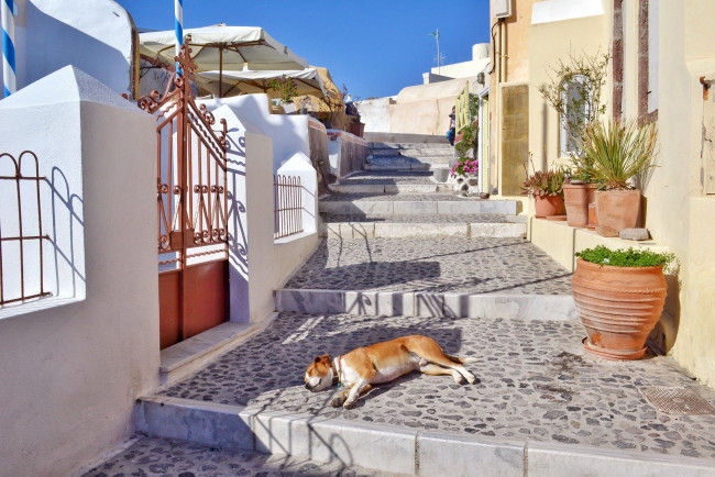 Обои картинки фото города, санторини , греция, улица