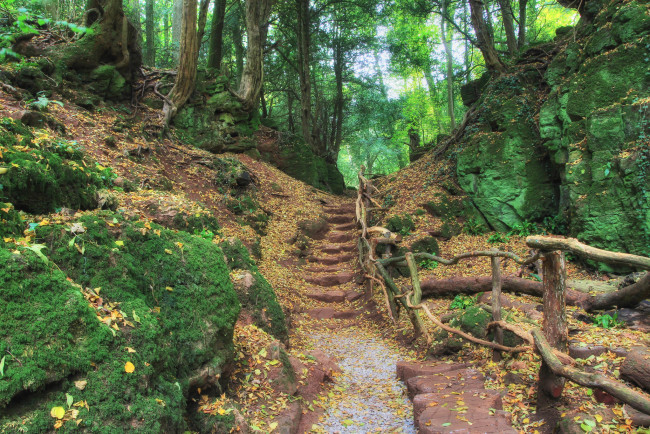 Обои картинки фото природа, дороги, простор