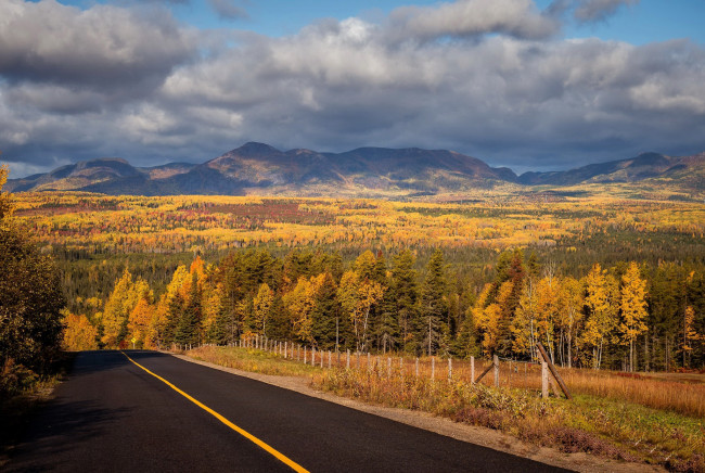 Обои картинки фото природа, дороги, шоссе