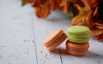 Картинка еда макаруны печенье лакомство