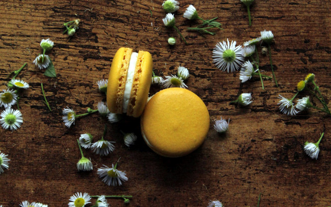 Обои картинки фото еда, макаруны, печенье, лакомство