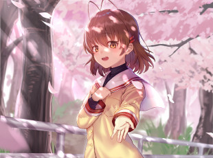 Картинка аниме clannad