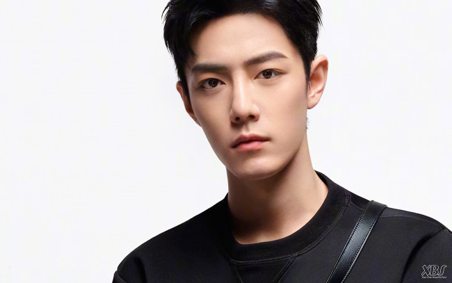 Обои картинки фото мужчины, xiao zhan, актер, свитер, лицо