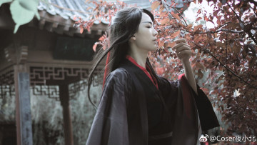 Картинка девушки -+креатив +косплей костюм образ вэй усянь