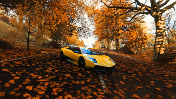 обоя видео игры, forza horizon 4, машина, дорога, листья, деревья, осень