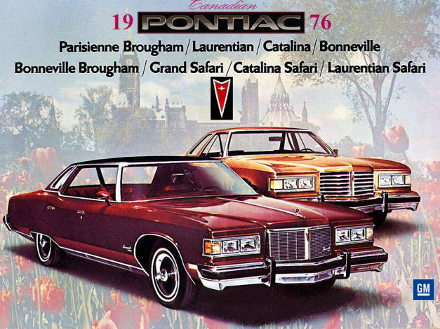 Обои картинки фото автомобили, pontiac
