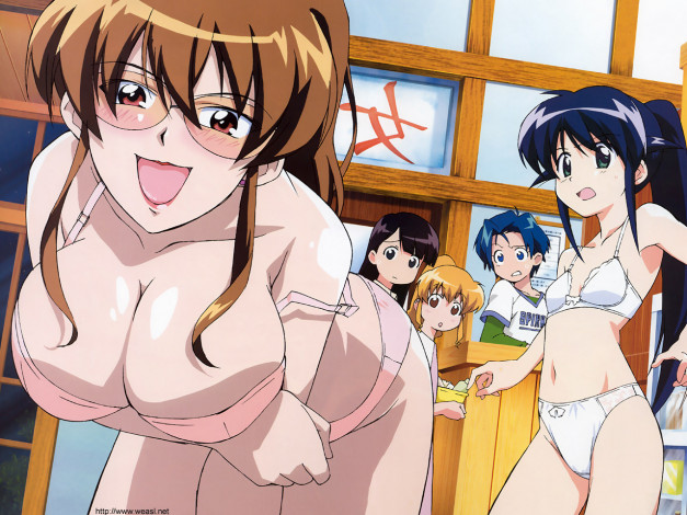 Обои картинки фото mahoro, matic, аниме, mahoromatic