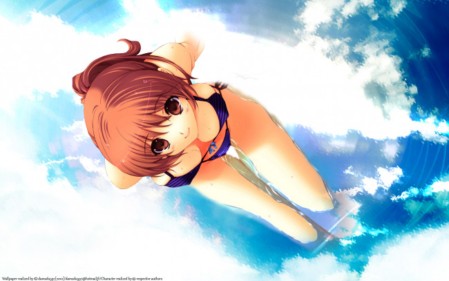 Обои картинки фото dead, or, alive, аниме