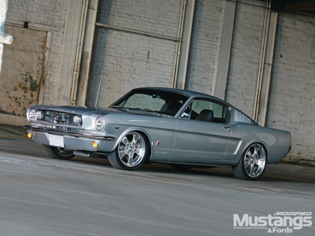 Обои картинки фото автомобили, mustang