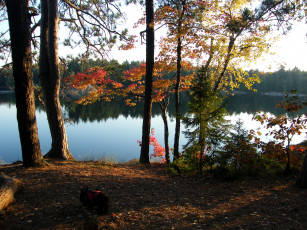 Картинка канада онтарио килларни природа реки озера река осень