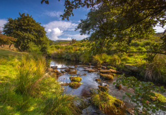 Картинка природа реки озера река лес