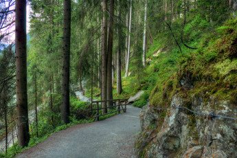 Картинка природа дороги дорога лес