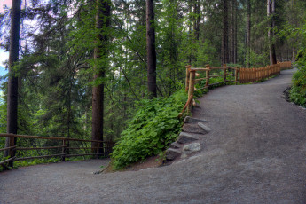 Картинка природа дороги лес дорога