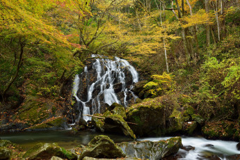 Картинка природа водопады лес водопад река