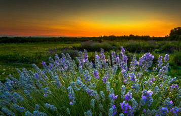 Картинка природа восходы закаты рассвет