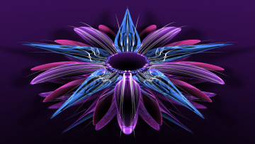 Картинка 3д+графика цветы+ flowers лепестки фон