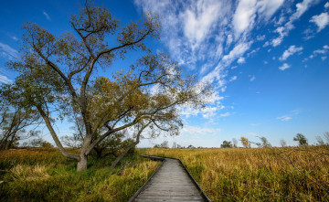 Картинка природа дороги настил поле