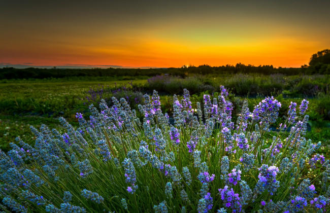 Обои картинки фото природа, восходы, закаты, рассвет