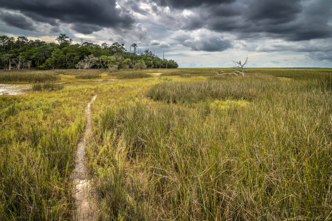 Обои картинки фото природа, пейзажи, вода, поле, лес