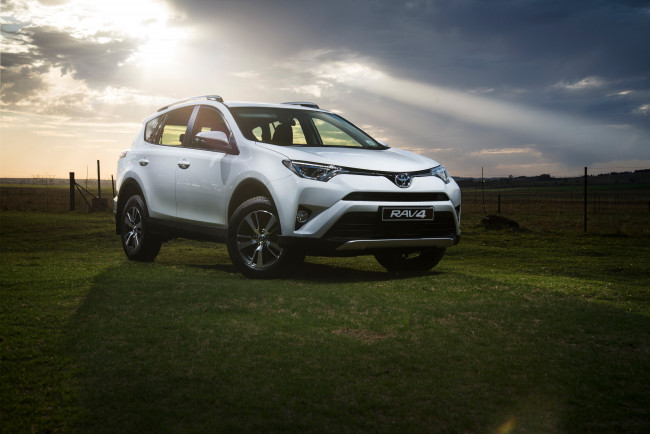 Обои картинки фото автомобили, toyota, rav4, 2015г, za-spec