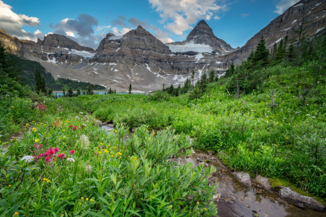 Обои картинки фото природа, реки, озера, горы, лес, река