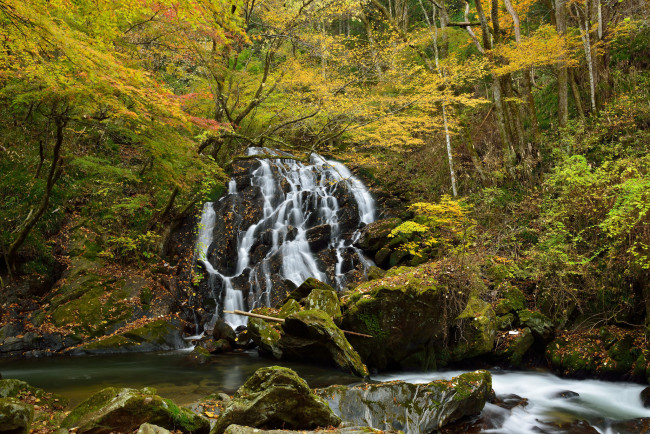 Обои картинки фото природа, водопады, лес, водопад, река