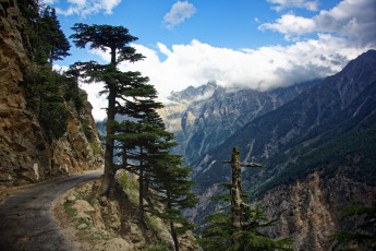 Картинка природа дороги тракт