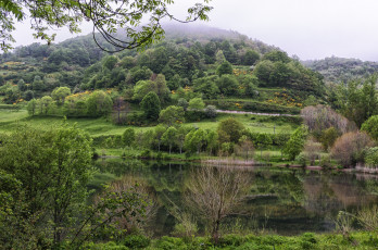 Картинка природа реки озера лес река