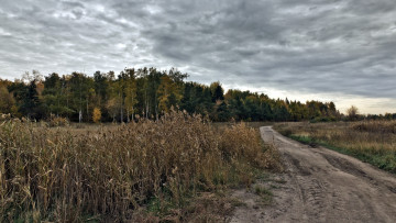 Картинка природа дороги поле дорога