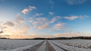 Картинка природа дороги поле дорога