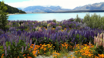 Картинка природа пейзажи простор