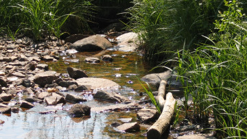 Картинка природа реки озера камни река