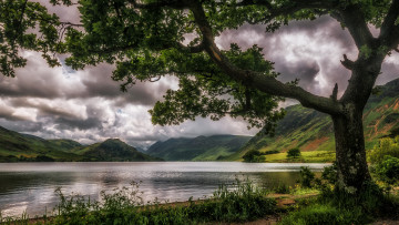 Картинка природа реки озера лес река