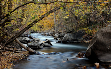 Картинка природа реки озера река лес