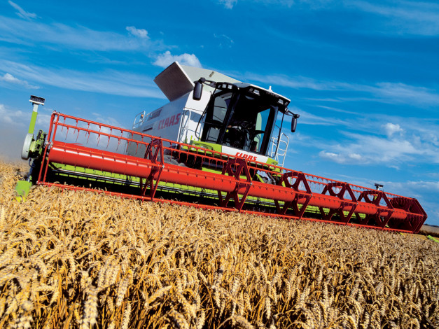 Обои картинки фото техника, комбайны, claas