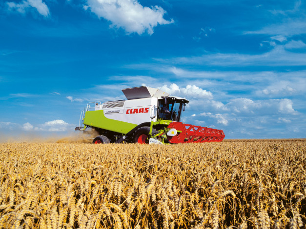 Обои картинки фото техника, комбайны, claas