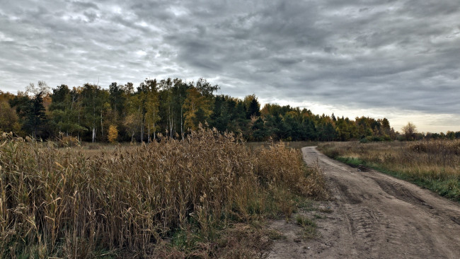 Обои картинки фото природа, дороги, поле, дорога