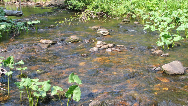 Обои картинки фото природа, реки, озера, камни, река