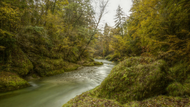 Обои картинки фото природа, реки, озера, лес, река