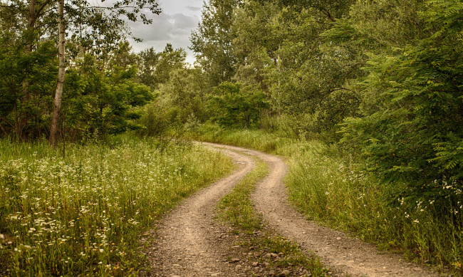 Обои картинки фото природа, дороги, тракт