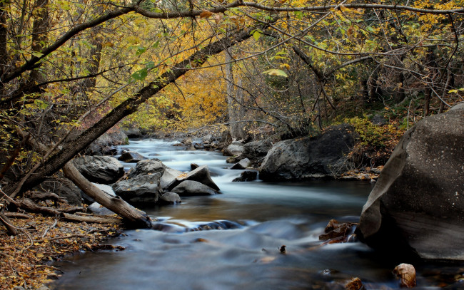 Обои картинки фото природа, реки, озера, река, лес