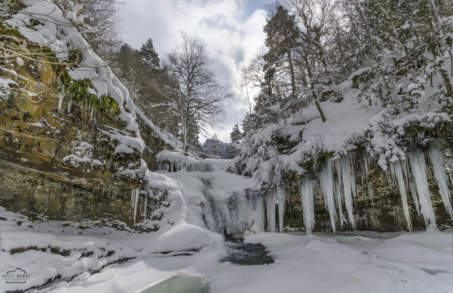 Обои картинки фото природа, зима, снег