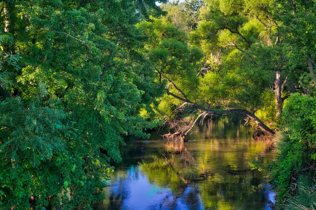 Обои картинки фото природа, реки, озера, лес, река