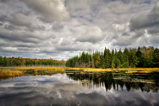 Обои картинки фото природа, реки, озера, лес, река