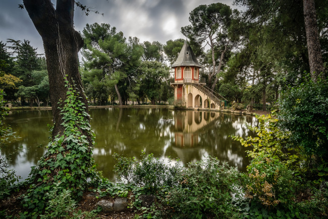 Обои картинки фото природа, парк, пруд, флора